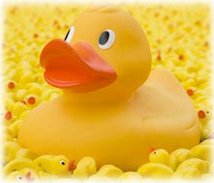 Hook a Duck Side Stall Game Hire