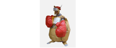 Kangaroo Boxing Suits
